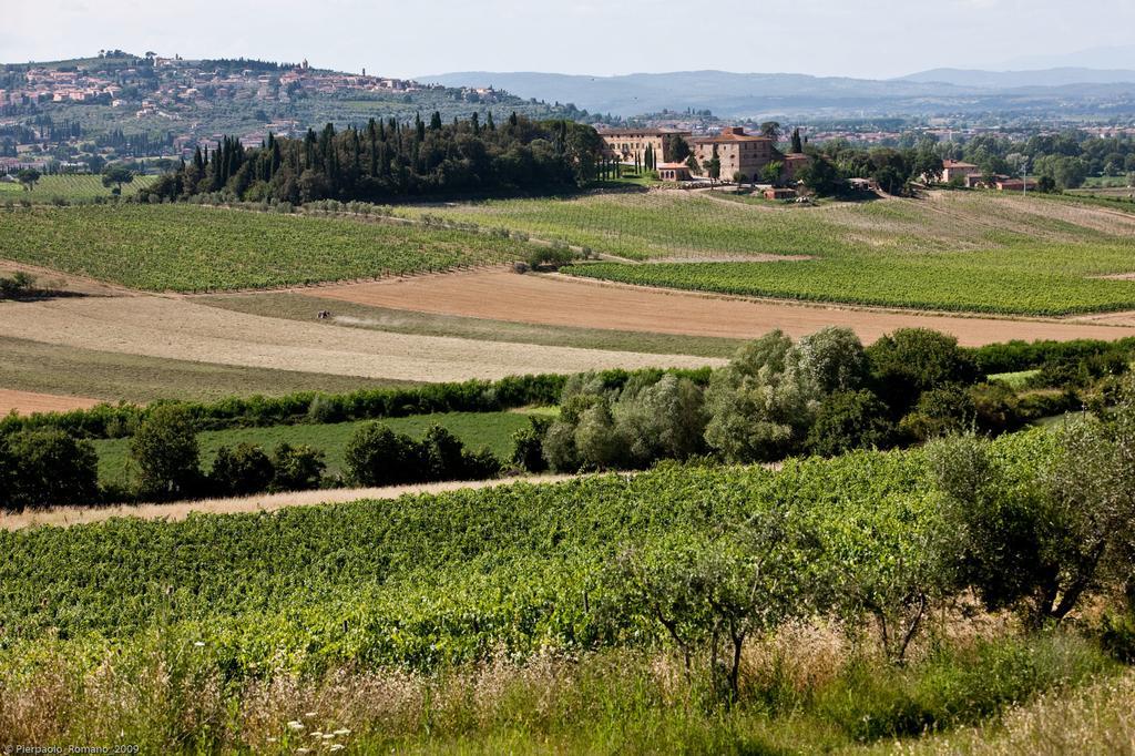 Tenuta Di Petriolo Pensionat Torrita di Siena Exteriör bild
