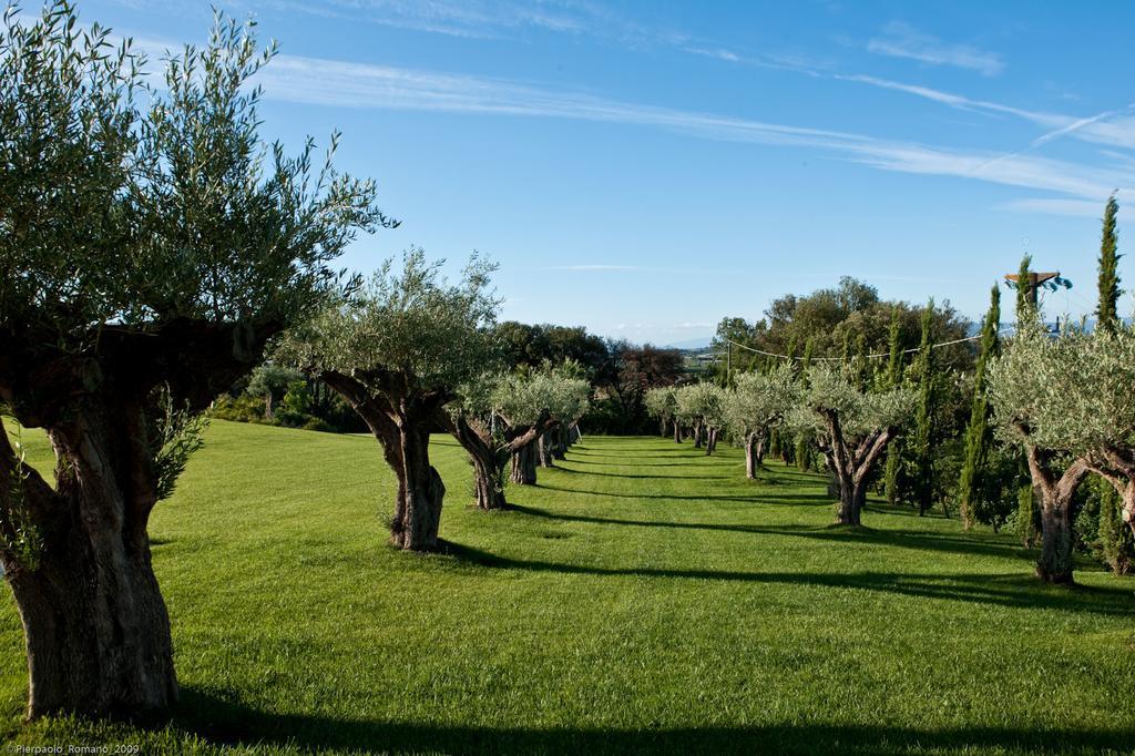 Tenuta Di Petriolo Pensionat Torrita di Siena Exteriör bild