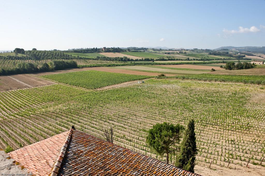 Tenuta Di Petriolo Pensionat Torrita di Siena Exteriör bild