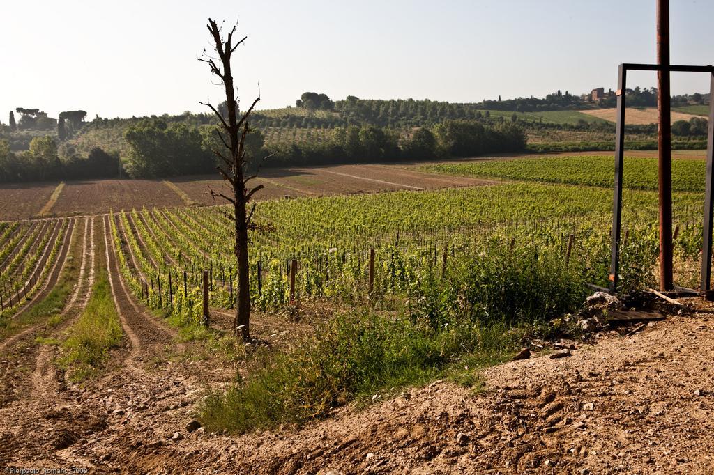 Tenuta Di Petriolo Pensionat Torrita di Siena Exteriör bild