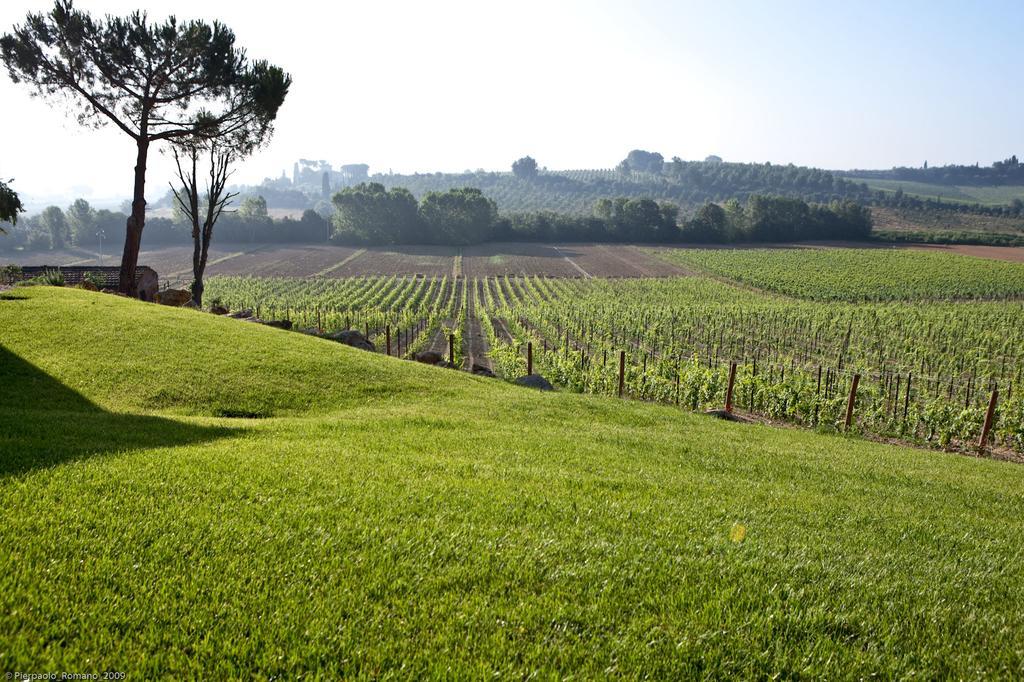 Tenuta Di Petriolo Pensionat Torrita di Siena Exteriör bild